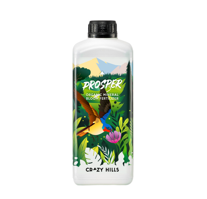 PROSPER BLOOM