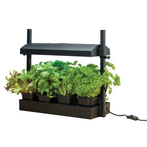 GARLAND Mini Garden