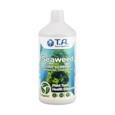 TERRA AQUATICA - Seaweed