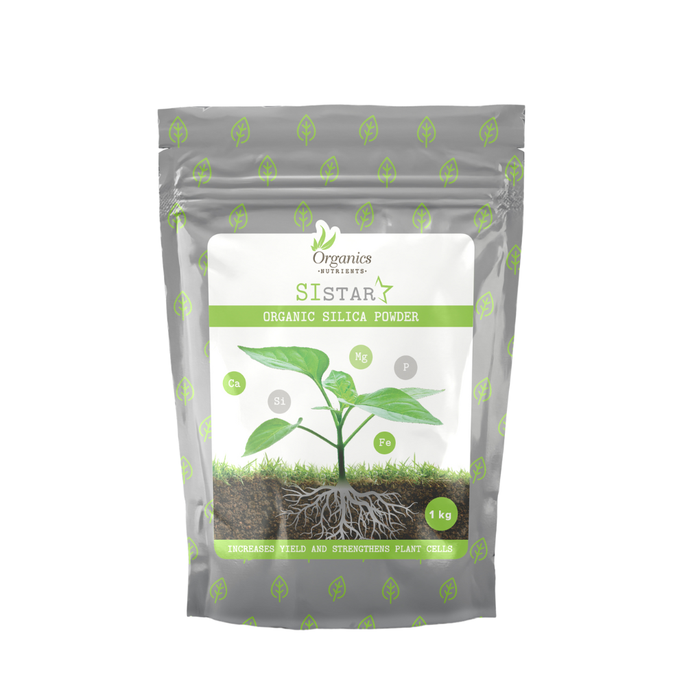 SI STAR 1kg