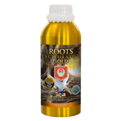 Roots Excelurator Gold