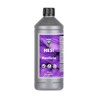 HESI - Hesilicio